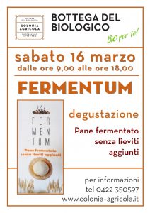Fermentum pane fermentato