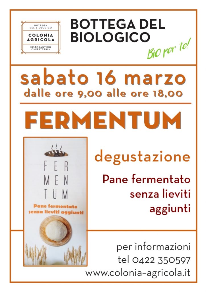 Fermentum pane fermentato